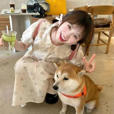 一个不留